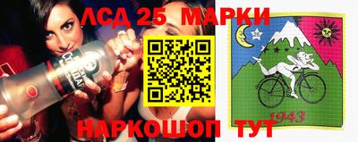 соль ск Новозыбков