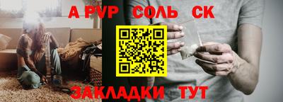 соль ск Новозыбков