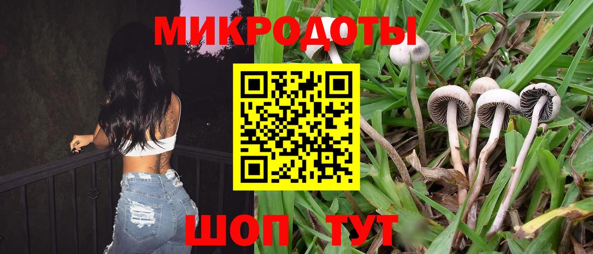 Галлюциногенные грибы ЛСД  Галлюциногенные грибы ЛСД  Ставрополь  даркнет сайт  Вход с VPN 